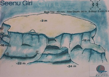 Seenu Giri